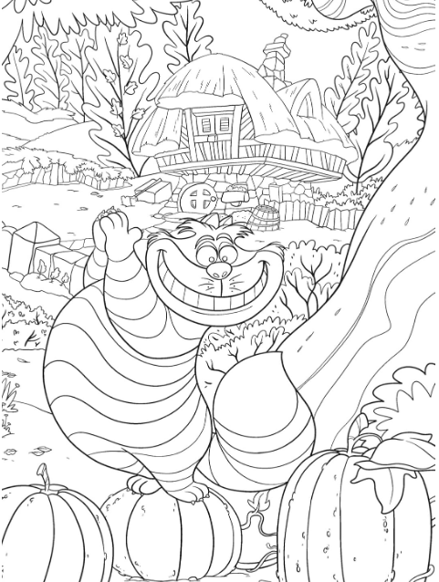 Livre Disney Hachette 4 Saisons: 100 coloriages