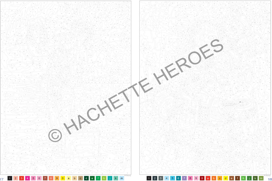 Livre Disney Hachette coloriages mystères best of nature