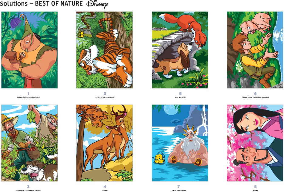 Livre Disney Hachette coloriages mystères best of nature