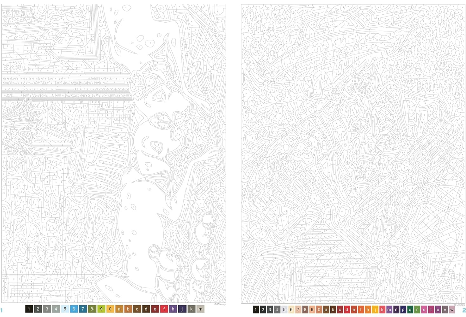 Livre Disney Hachette Coloriages Mystères Famille