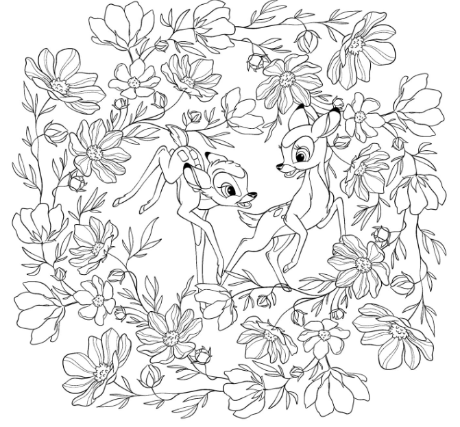 Livre Disney Hachette Coloriages Mandalas Fleurs