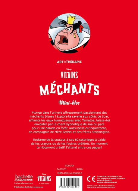 Livre Disney Hachette Méchants Mini Bloc