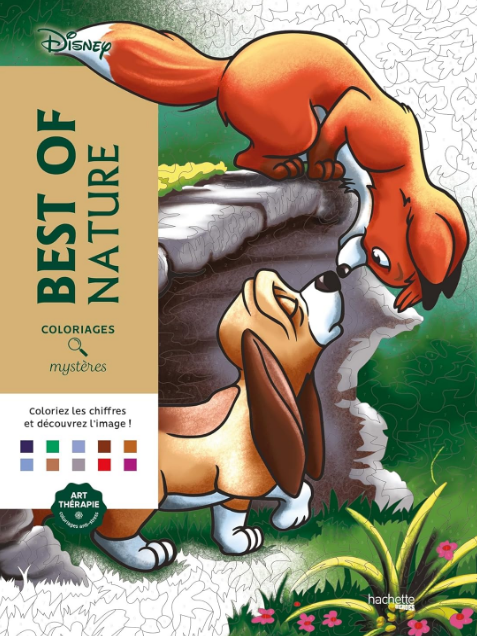 Livre Disney Hachette coloriages mystères best of nature